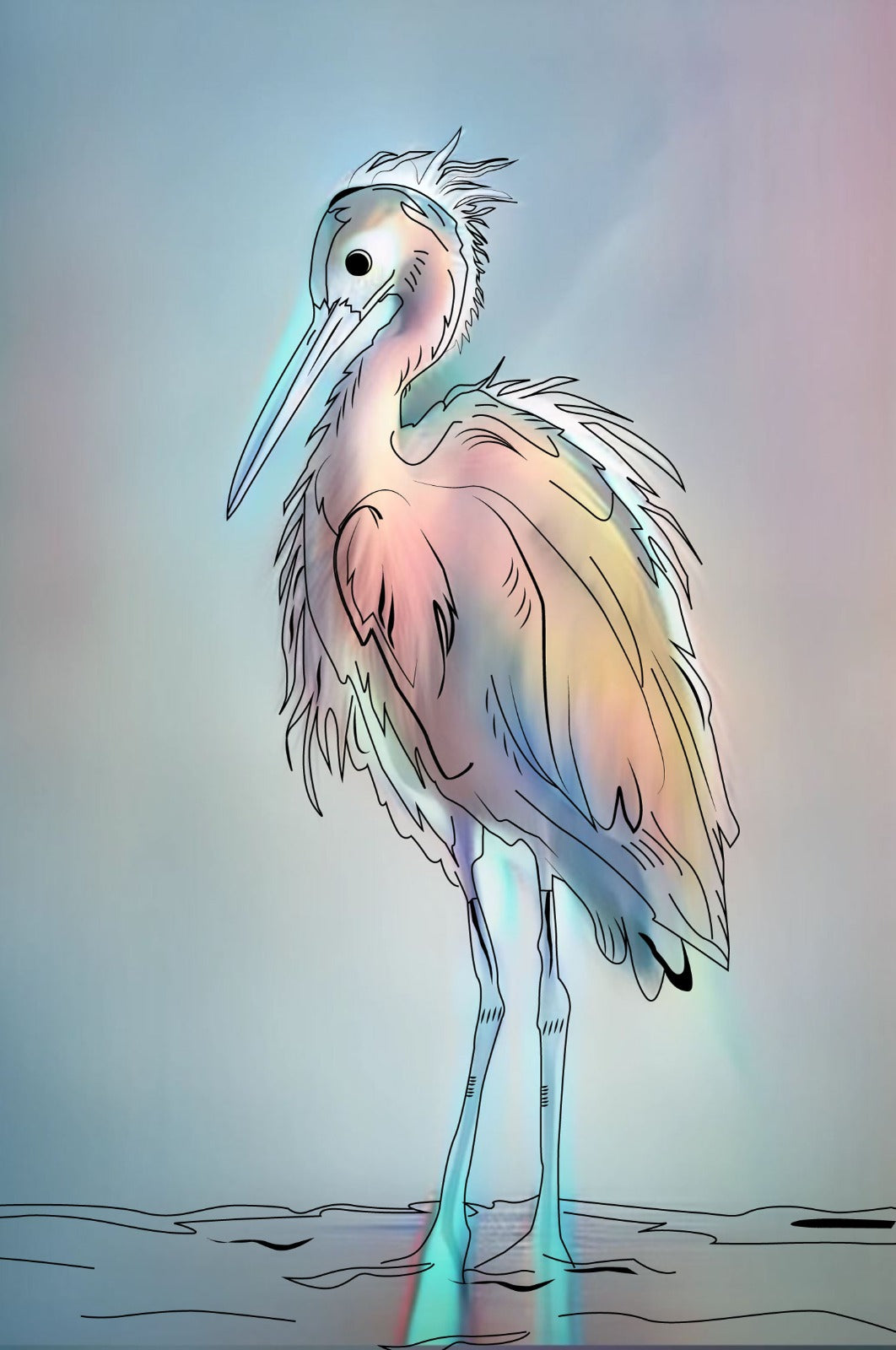 Sueños emplumados para colorear al revés