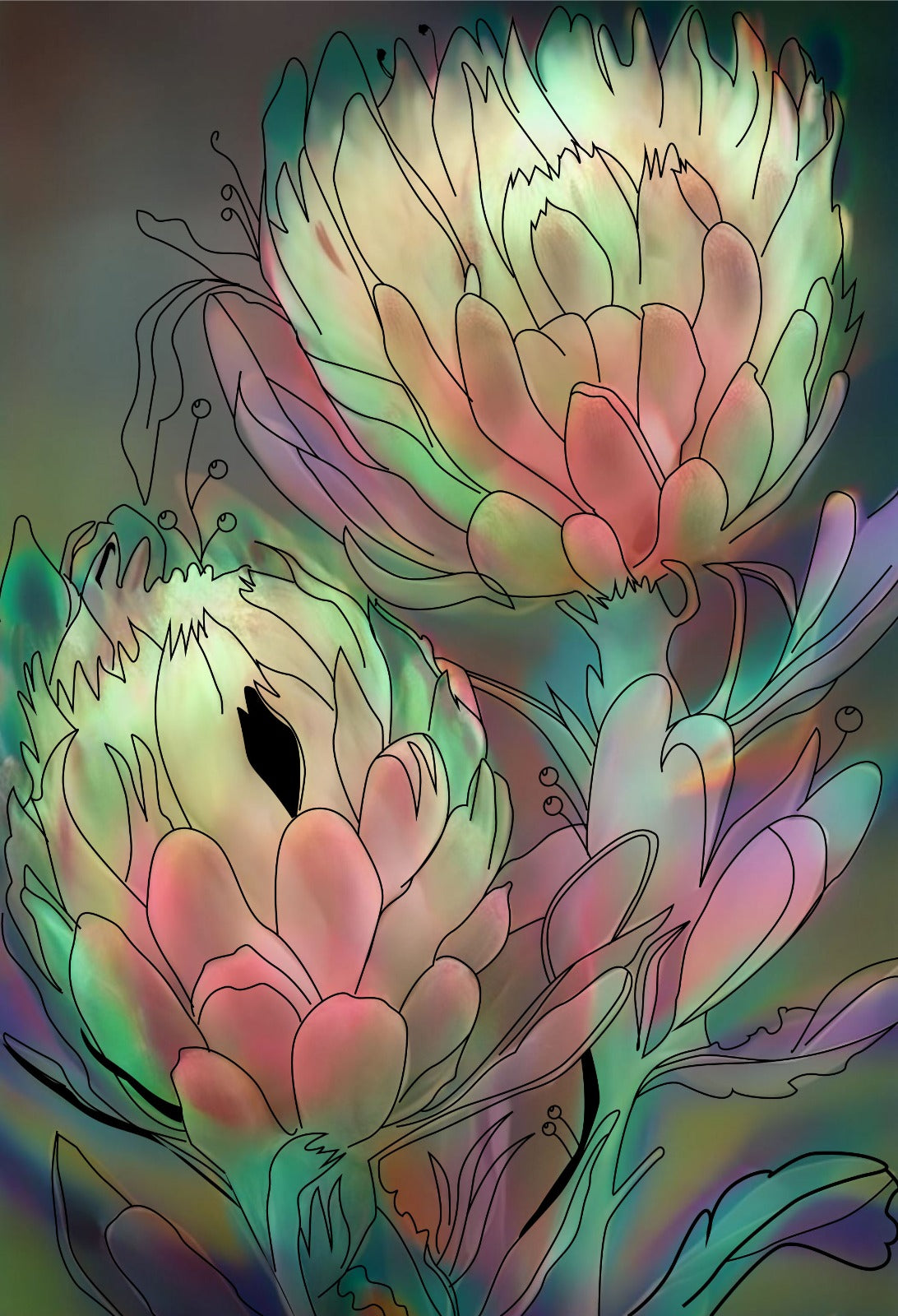 Australia bañada por el sol (coloreado al revés)