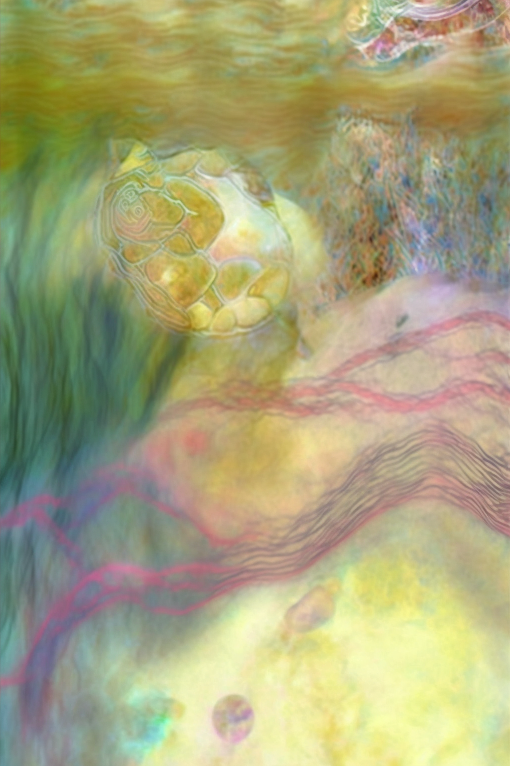Watery World Reverse Coloring