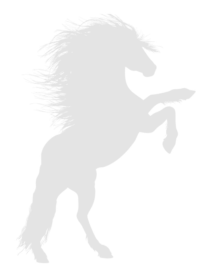 I Love Horses