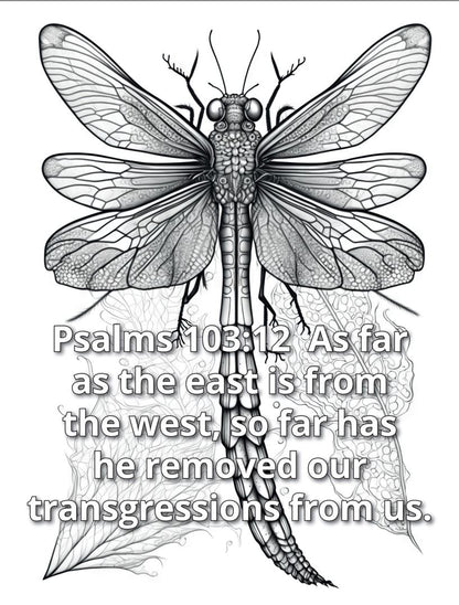 Forgiveness