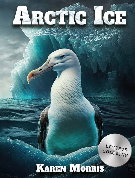 Arctic Ice Reverse Coloring